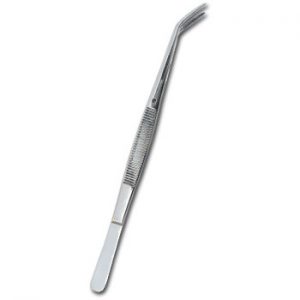Stainless Steel Dental Cotton Tweezers