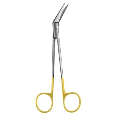 Dental Scissors – Precision Surgical & Clinical Instrument