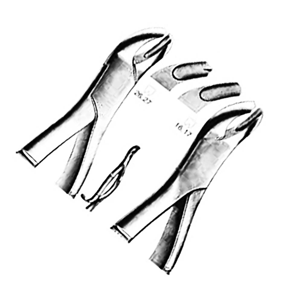 Professional Stainless Steel Dentist’s Hand Tool for Dental Examination and Treatment