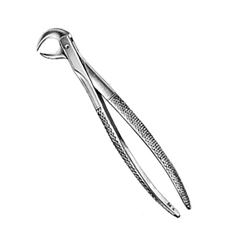 Stainless Steel Dental Oral Surgery Forceps – Professional Tooth Extraction Instrument for Dentists and Oral Surgeons