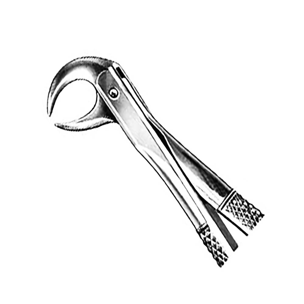 Stainless Steel Dental Oral Surgery Forceps – Professional Tooth Extraction Instrument for Dentists and Oral Surgeons