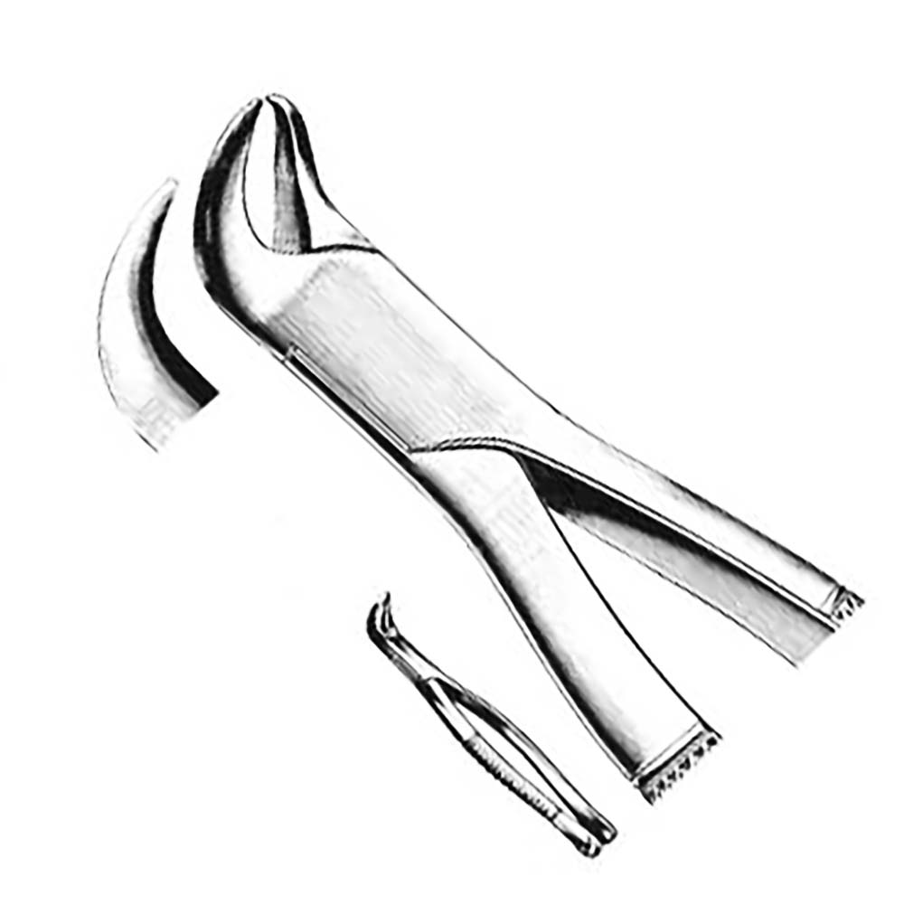 Stainless Steel Dental Extraction Pliers for Tooth Removal – Professional Dentist Forceps Instrument