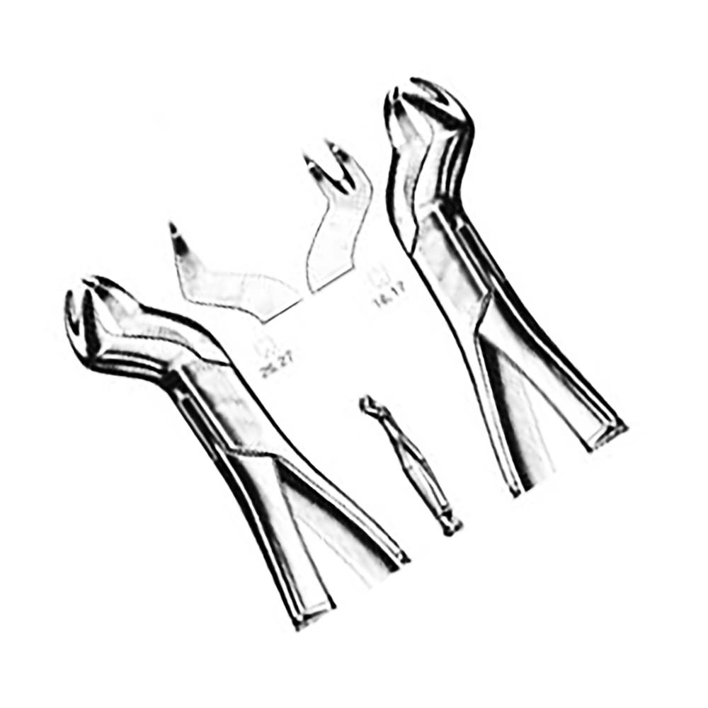 Professional Stainless Steel Tooth Extraction Pliers – Dental Forceps for Tooth Removal