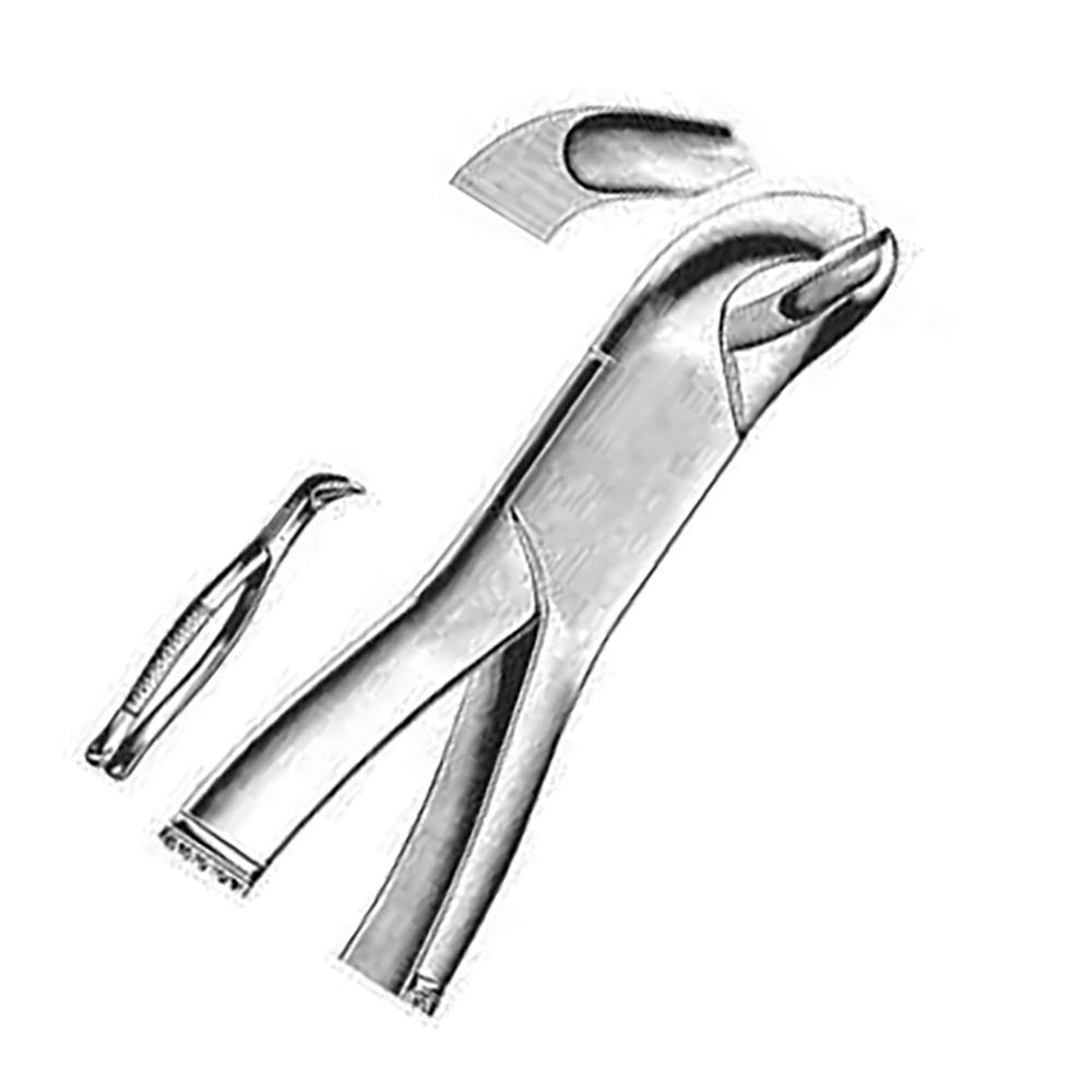 Professional Stainless Steel Dental Forceps for Tooth Removal – Autoclavable Extraction Tool