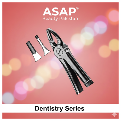 Professional Dental Extraction Forceps | Stainless Steel Tooth Removal Instrument – Dentistry Series